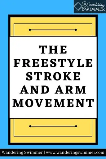Image with a blue background. A yellow box with a thick black border is in the middle. A smaller white box with a thin black border has black text that reads: The Freestyle Stroke and Arm Movement